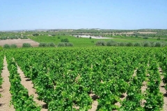 PercorsoEnogastronomico_01