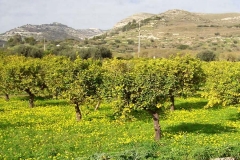 PercorsoEnogastronomico_02